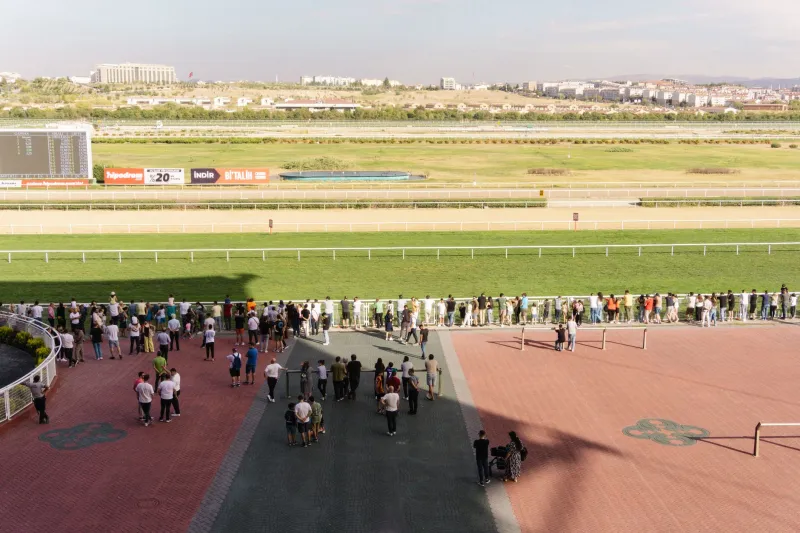 Stop Betting Where Everyone Else Is Standing: How to Escape the Prop Market Herd